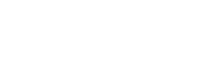 FNZ_Logo WO